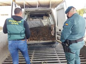 Foro Agro Ganadero