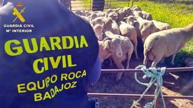 Foro Agro Ganadero