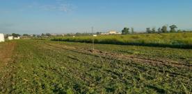 Foro Agro Ganadero