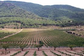 Foro Agro Ganadero