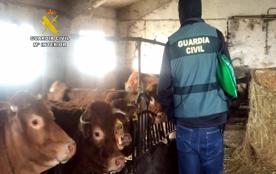 Foro Agro Ganadero
