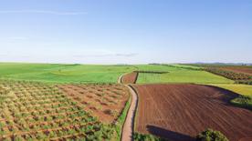 Foro Agro Ganadero