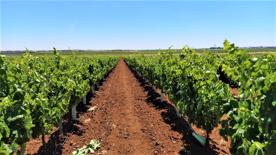 Foro Agro Ganadero