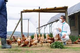 Foro Agro Ganadero