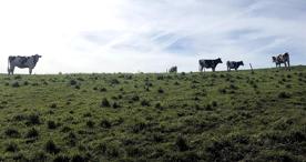 Foro Agro Ganadero