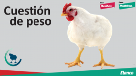 Foro Agro Ganadero