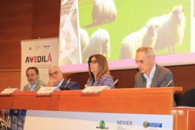 Foro Agro Ganadero