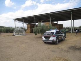 Foro Agro Ganadero
