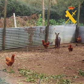 Foro Agro Ganadero