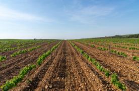 Foro Agro Ganadero