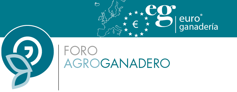 Jornadas Top Gan