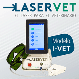 LasetVET
