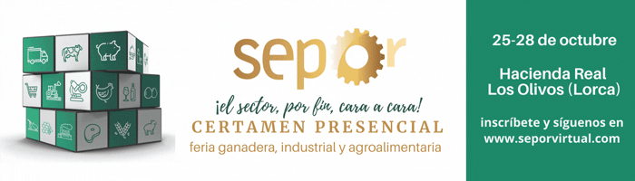 seporvirtual.com
