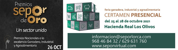 seporvirtual.com