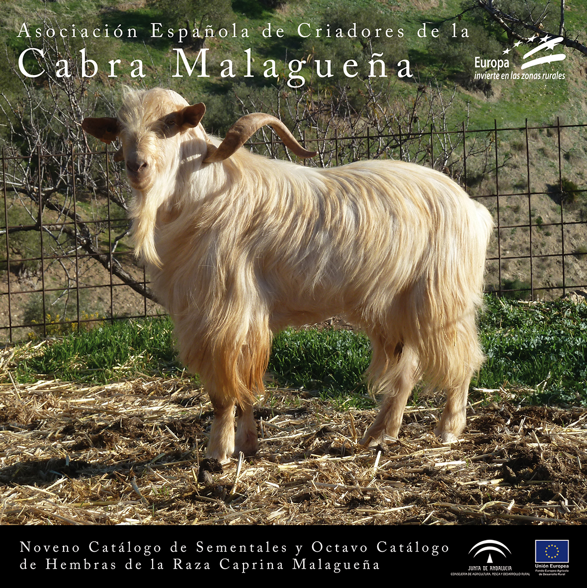Publicado el 9º Catálogo de Sementales de la Raza Caprina Malagueña y ...