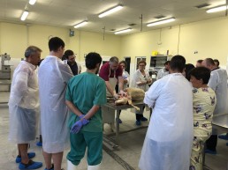 Taller Vetia de diagnóstico de enfermedades consuntivas en pequeños rumiantes