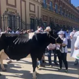 foro agro ganaadero, Ganaderos de leche exigen un precio mínimo del brik