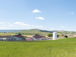 FORO AGRO GANADERO, Impulsan la innovación en la gestión del estiércol líquido de porcino