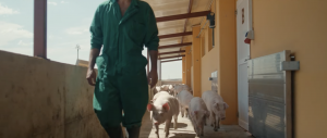 FORO AGRO GANADERO, Nuevo spot con el que INTERPORC destaca la dedicación y compromiso de los profesionales del porcino 