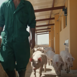 FORO AGRO GANADERO, Nuevo spot con el que INTERPORC destaca la dedicación y compromiso de los profesionales del porcino