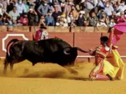 AXON COMUNICACION, El PSOE debatirá varias peticiones para extinguir la tauromaquia