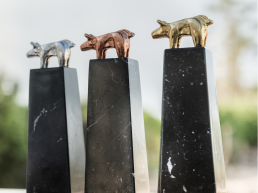 FORO AGRO GANADERO, Cerca de 150 granjas se disputan los premios PORC D’OR 2021