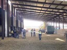 FORO AGRO GANADERO, Un ganadero en Ejea de los Caballeros explotaba a cinco inmigrantes