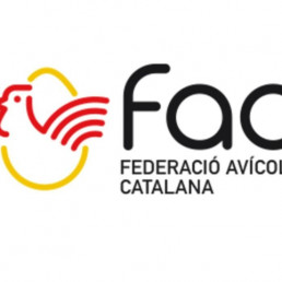 FORO AGRO GANADERO, 8 de octubre, dia mundial del huevo