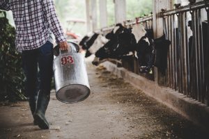 AXON COMUNICACION, Aragón pide que se elabore el estudio de la cadena de valor de la leche