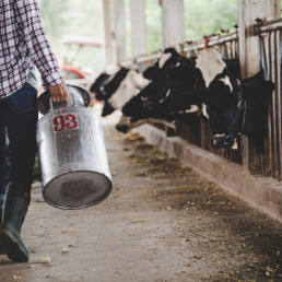 AXON COMUNICACION, Aragón pide que se elabore el estudio de la cadena de valor de la leche