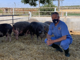FORO AGRO GANADERO, Antonio Palomo Yagüe PREVPA