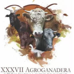 FORO AGRO GANADERO, Subasta de 70 cabezas de ovino merino selecto