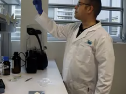 FORO AGRO GANADERO, Bioplástico impermeable y transpirable apto para la industria alimentaria