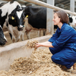 FORO AGRO GANADERO, Galicia y Asturias libres de tuberculosis bovina