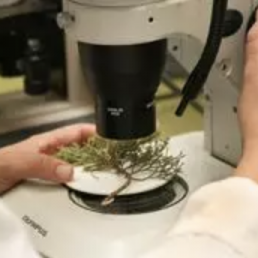 FORO AGRO GANADERO, Agricultura aumenta un 340% el presupuesto de las ayudas para la investigación agraria, ganadera y pesquera