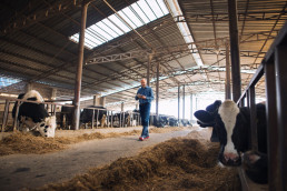 FORO AGRO GANADERO, El Gobierno obligará a revisar el precio de la leche cuando suban los costes de producción