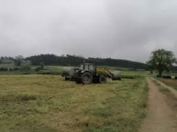 FORO GRO GANADERO, COAG cree inadmisible que algunos ganaderos aún no cobrasen las ayudas PAC de 2021