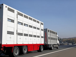 FORO AGRO GANADERO, Desinfección de uso ganadero y amplio espectro biocida para combatir enfermedades de alto riesgo de propagación