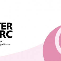 FORO AGRO GANADERO, 415.000 trabajadores hacen posible el liderazgo internacional del sector porcino de capa blanca español