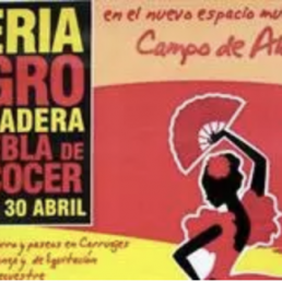 FORO AGRO GANADERO, La feria agroganadera de Puebla de Alcocer subastará 30 corderas de raza merina de la Diputación de Badajoz