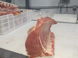 FORO AGRO GANADERO, La carne de potro busca replicar en España su éxito de ventas en el exterior