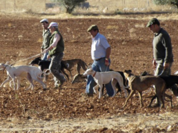 FORO AGRO GANADERO, Planas asegura que el Gobierno apoya la gestión sostenible de la caza