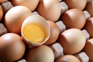 FORO AGRO GANADERO, El director del Instituto del Huevo: «Lo fácil fue decir que el huevo era malo»