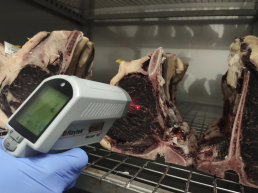 FORO AGRO GANADERO, Nuevas metodologías para optimizar la maduración de la carne de vacuno