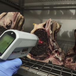 FORO AGRO GANADERO, Nuevas metodologías para optimizar la maduración de la carne de vacuno