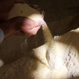 FORO AGRO GANADERO, Ganadería e industria cereal, de las más afectadas por inflación