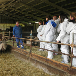 INTIA abre el plazo de inscripción para el curso de Incorporación de Jóvenes al Sector Agrario, foto ganaderos