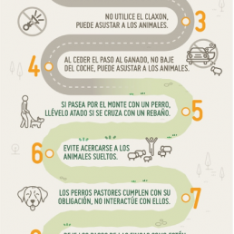 Los pastores y sus rebaños evitan incendios: el decálogo del excursionista responsable de este verano para ayudarles