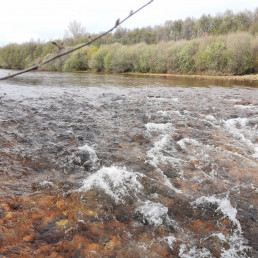ASAJA pide que se levanten las restricciones que imponen los caudales ecológicos , FOTO CAUDAL RIO