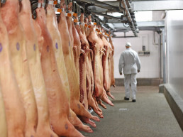 INTERPORC aplaude la regulación de las cámaras de videovigilancia , foto matadero